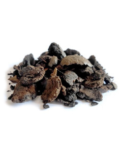 Bylík Ořešák černý oplodí 150g