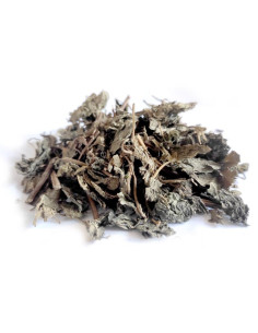 Bylík Perila křovitá list 50g