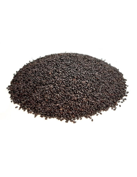 Bylík Bazalka semeno 100g