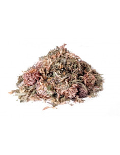 Bylík Agamy bylinková směs 150g