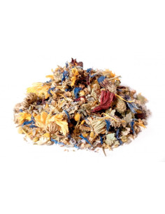 Bylík Činčily bylinková směs 50g