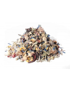 Bylík Psi bylinková směs 100g