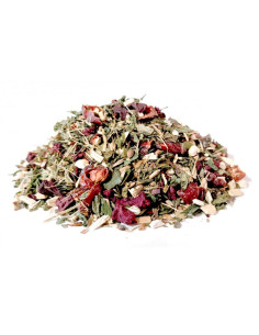 Bylík Koně bylinková směs 750g