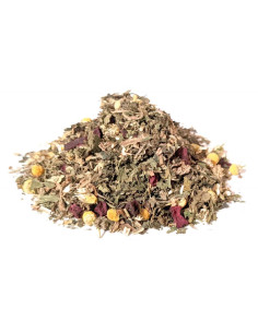 Bylík Slepice bylinková směs 400g