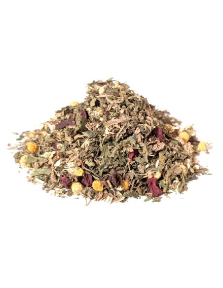Bylík Slepice bylinková směs 250g