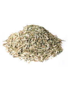 Bylík Právenka nať 400g