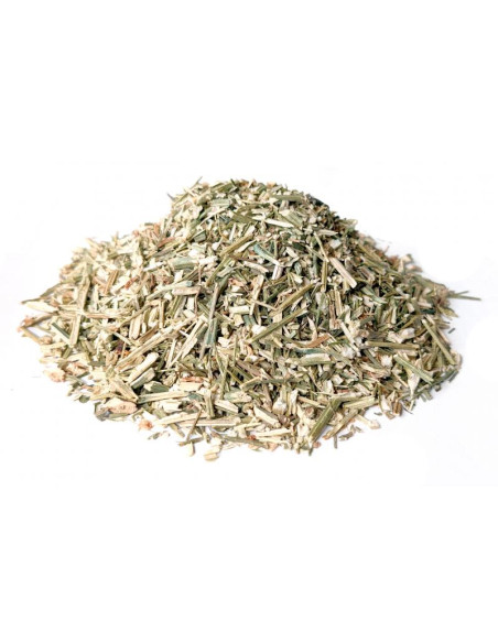 Bylík Právenka nať 300g