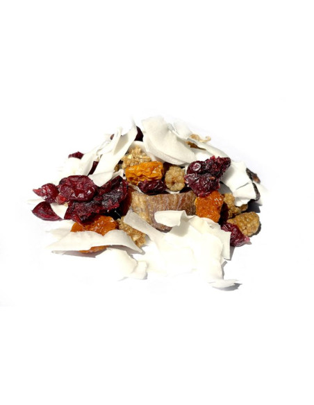 Bylík Ovocný mix směs sušeného ovoce 750g