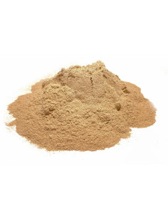 Bylík Pampeliška kořen prášek 150g