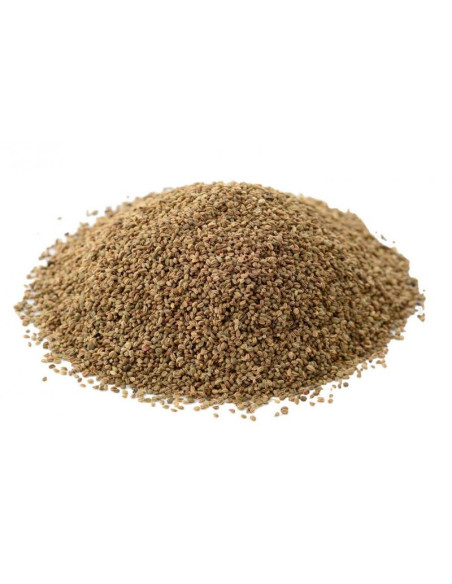Bylík Celer semínko 100g