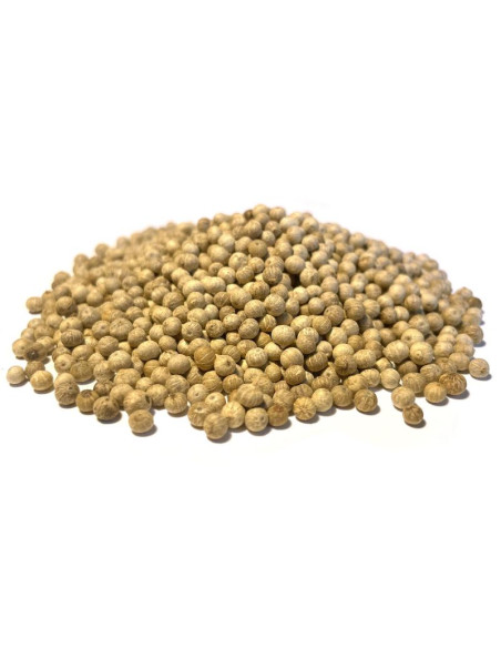 Bylík Pepř Kampotský bílý celý 100g