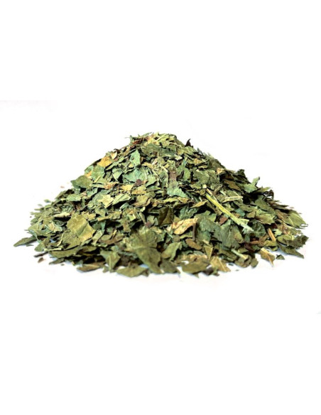 Bylík Rybíz list 200g