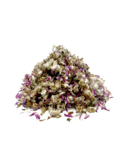 Bylík Jetel alpinský květ řezaný 250g